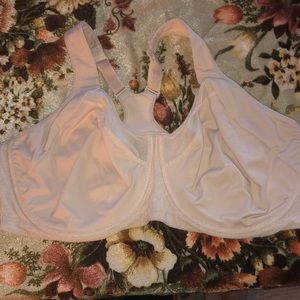 Tan/Nude Champion Bra!